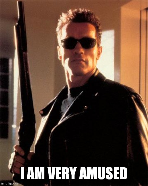 Terminator 2 | I AM VERY AMUSED | image tagged in terminator 2 | made w/ Imgflip meme maker