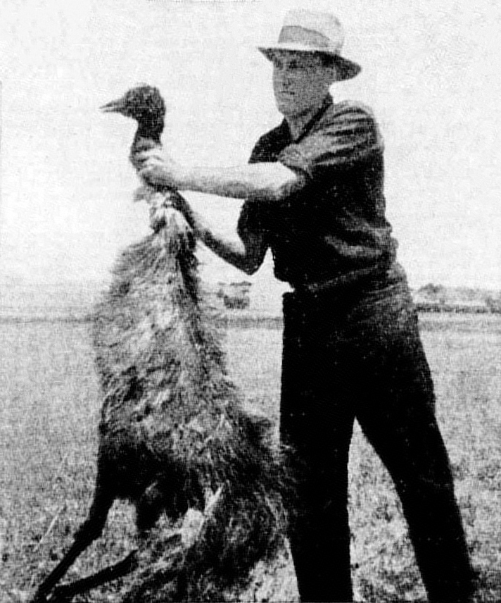 Great emu war Blank Meme Template