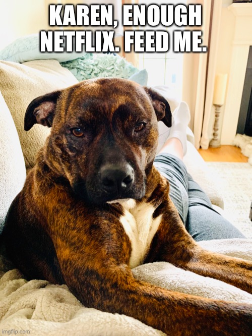 KAREN, ENOUGH NETFLIX. FEED ME. | image tagged in karen | made w/ Imgflip meme maker