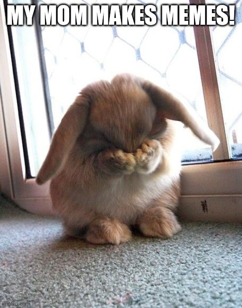 embarrassed bunny | MY MOM MAKES MEMES! | image tagged in embarrassed bunny | made w/ Imgflip meme maker