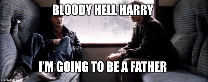 Father | BLOODY HELL HARRY; I’M GOING TO BE A FATHER | image tagged in father and son,harry potter,ron weasley | made w/ Imgflip meme maker