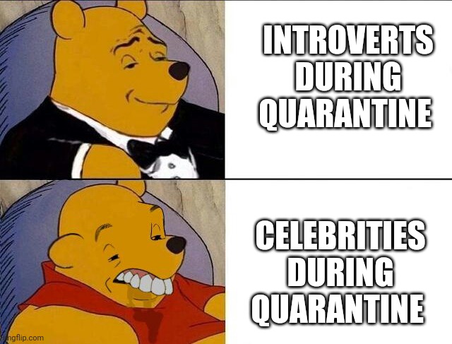 Tuxedo Winnie the Pooh grossed reverse | INTROVERTS DURING QUARANTINE; CELEBRITIES DURING QUARANTINE | image tagged in tuxedo winnie the pooh grossed reverse | made w/ Imgflip meme maker