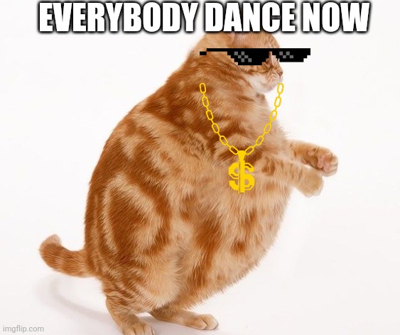 Chonk Party | EVERYBODY DANCE NOW | image tagged in chonk cat dance | made w/ Imgflip meme maker