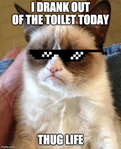 Grumpy Cat Meme | I DRANK OUT OF THE TOILET TODAY; THUG LIFE | image tagged in memes,grumpy cat | made w/ Imgflip meme maker