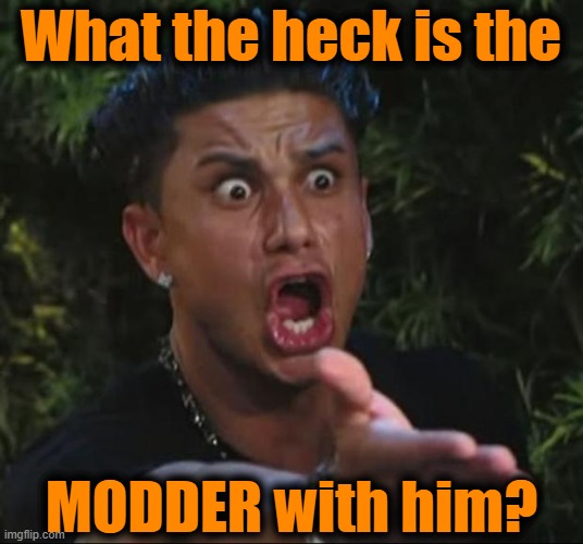 DJ Pauly D Meme | What the heck is the MODDER with him? | image tagged in memes,dj pauly d | made w/ Imgflip meme maker