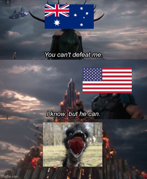 Emu | image tagged in you can't defeat me,emu,australia,history,memes | made w/ Imgflip meme maker