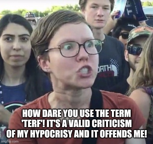 Triggered feminist | HOW DARE YOU USE THE TERM 'TERF'! IT'S A VALID CRITICISM OF MY HYPOCRISY AND IT OFFENDS ME! | image tagged in triggered feminist | made w/ Imgflip meme maker