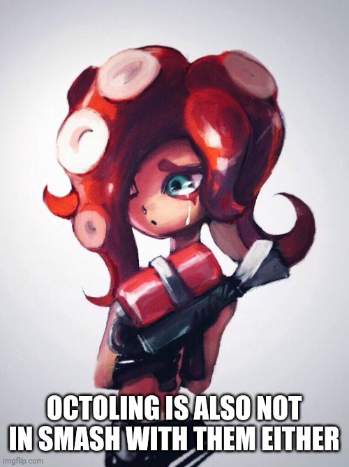 Crying Octoling | OCTOLING IS ALSO NOT IN SMASH WITH THEM EITHER | image tagged in crying octoling | made w/ Imgflip meme maker