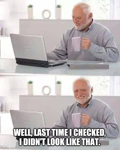 Hide the Pain Harold Meme | WELL, LAST TIME I CHECKED, I DIDN'T LOOK LIKE THAT. | image tagged in memes,hide the pain harold | made w/ Imgflip meme maker