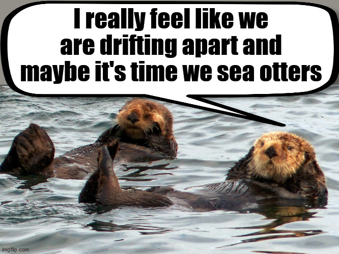 Bad pun but cute otters. | I really feel like we are drifting apart and maybe it's time we sea otters | image tagged in sea life,otter,bad pun | made w/ Imgflip meme maker