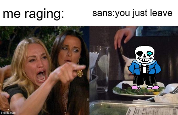 Woman Yelling At Cat | me raging:; sans:you just leave | image tagged in memes,woman yelling at cat | made w/ Imgflip meme maker