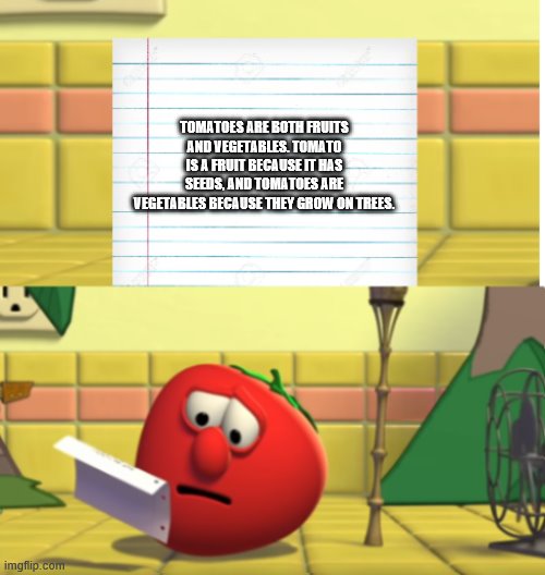 Bob Looking at Script | TOMATOES ARE BOTH FRUITS AND VEGETABLES. TOMATO IS A FRUIT BECAUSE IT HAS SEEDS, AND TOMATOES ARE VEGETABLES BECAUSE THEY GROW ON TREES. | image tagged in bob looking at script | made w/ Imgflip meme maker