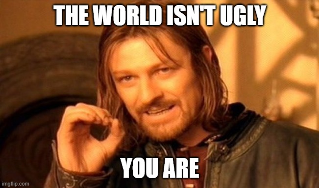One Does Not Simply Meme | THE WORLD ISN'T UGLY; YOU ARE | image tagged in memes,one does not simply | made w/ Imgflip meme maker