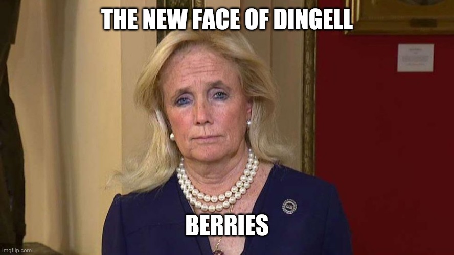 THE NEW FACE OF DINGELL; BERRIES | image tagged in politics | made w/ Imgflip meme maker