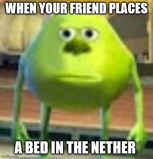 Sully Wazowski | WHEN YOUR FRIEND PLACES; A BED IN THE NETHER | image tagged in sully wazowski | made w/ Imgflip meme maker