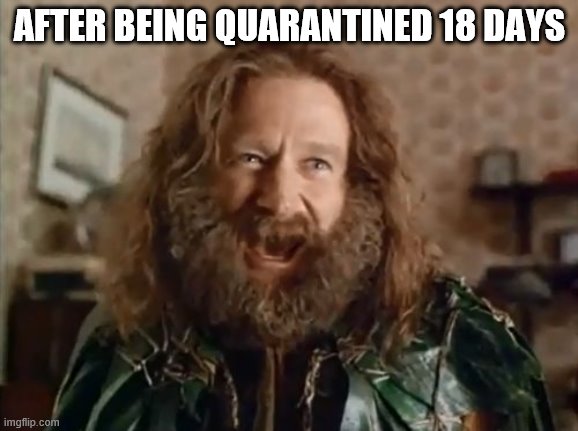 What Year Is It Meme | AFTER BEING QUARANTINED 18 DAYS | image tagged in memes,what year is it | made w/ Imgflip meme maker