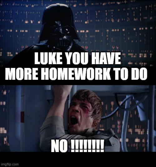 Star Wars No Meme | LUKE YOU HAVE MORE HOMEWORK TO DO; NO !!!!!!!! | image tagged in memes,star wars no | made w/ Imgflip meme maker