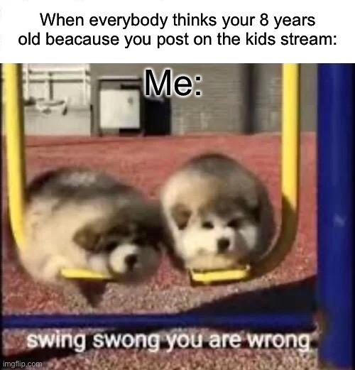 SWING SWONG YOU ARE WRONG | When everybody thinks your 8 years old beacause you post on the kids stream:; Me: | image tagged in swing swong you are wrong | made w/ Imgflip meme maker