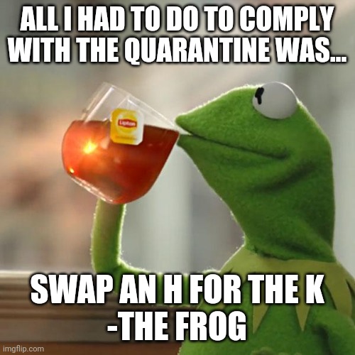 HERMIT THE FROG | ALL I HAD TO DO TO COMPLY WITH THE QUARANTINE WAS... SWAP AN H FOR THE K
-THE FROG | image tagged in memes,kermit the frog,hermit,quarantine,covid-19,corona virus | made w/ Imgflip meme maker