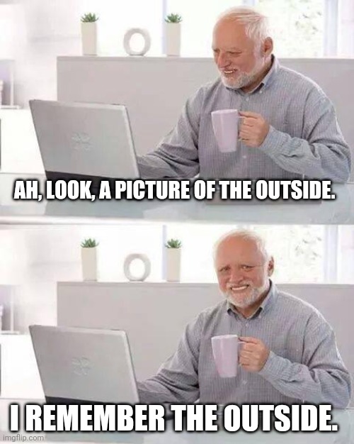 The good ol' days | AH, LOOK, A PICTURE OF THE OUTSIDE. I REMEMBER THE OUTSIDE. | image tagged in memes,hide the pain harold,quarantine,covid-19,corona virus,never forget | made w/ Imgflip meme maker