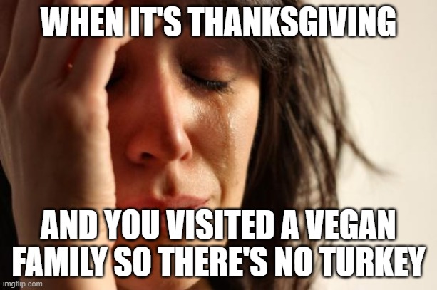 First World Problems Meme | WHEN IT'S THANKSGIVING; AND YOU VISITED A VEGAN FAMILY SO THERE'S NO TURKEY | image tagged in memes,first world problems | made w/ Imgflip meme maker