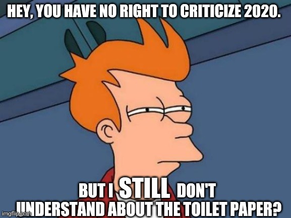 Futurama Fry | HEY, YOU HAVE NO RIGHT TO CRITICIZE 2020. STILL; BUT I                     DON'T 
UNDERSTAND ABOUT THE TOILET PAPER? | image tagged in memes,futurama fry | made w/ Imgflip meme maker