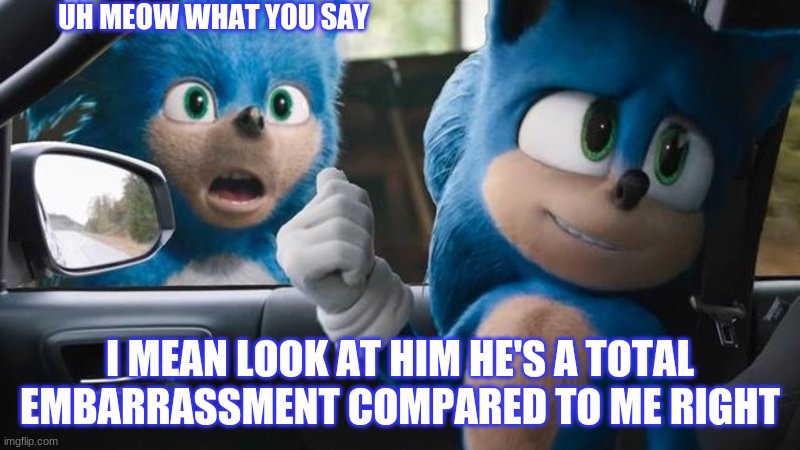 Sonic Movie Old vs New | UH MEOW WHAT YOU SAY; I MEAN LOOK AT HIM HE'S A TOTAL EMBARRASSMENT COMPARED TO ME RIGHT | image tagged in sonic movie old vs new | made w/ Imgflip meme maker
