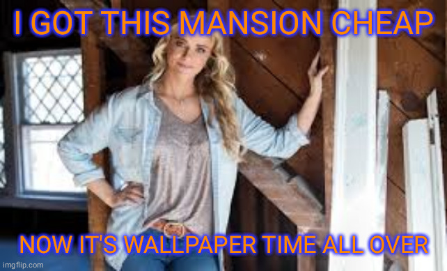 Tamara Day1 | I GOT THIS MANSION CHEAP; NOW IT'S WALLPAPER TIME ALL OVER | image tagged in tamara day1 | made w/ Imgflip meme maker