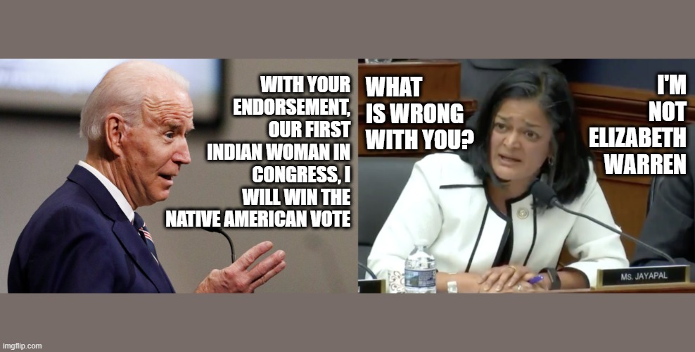 Joe Likes Indians | WITH YOUR ENDORSEMENT, OUR FIRST INDIAN WOMAN IN CONGRESS, I WILL WIN THE NATIVE AMERICAN VOTE; I'M NOT ELIZABETH WARREN; WHAT IS WRONG WITH YOU? | image tagged in joe biden,political meme,elizabeth warren | made w/ Imgflip meme maker