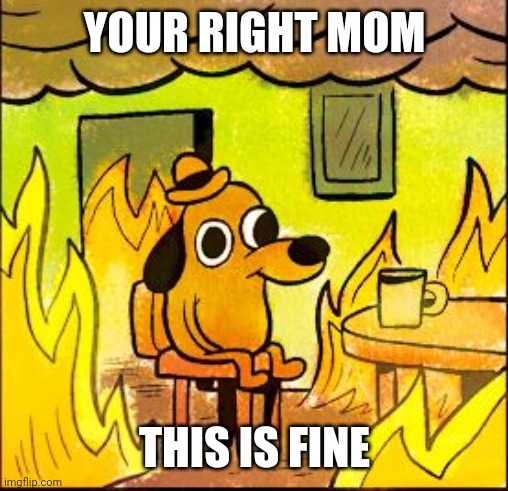 This is fine | YOUR RIGHT MOM THIS IS FINE | image tagged in this is fine | made w/ Imgflip meme maker