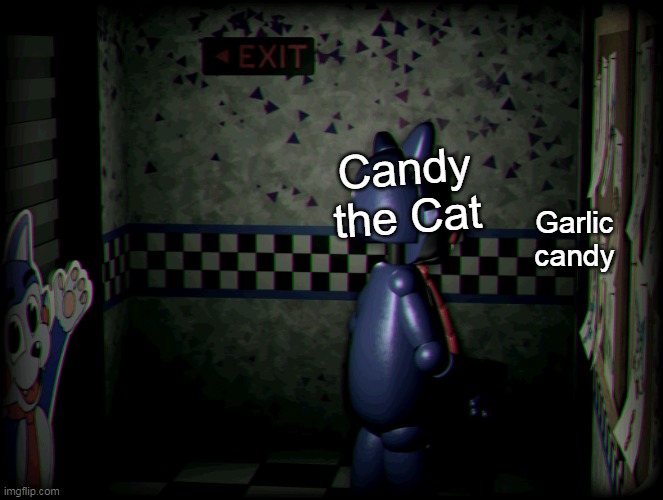 Candy | Candy the Cat Garlic candy | image tagged in candy | made w/ Imgflip meme maker