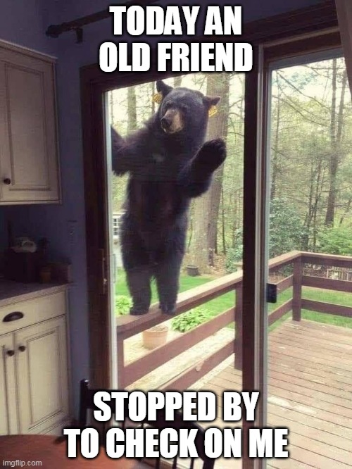 Old friend | TODAY AN OLD FRIEND; STOPPED BY TO CHECK ON ME | image tagged in old friend | made w/ Imgflip meme maker