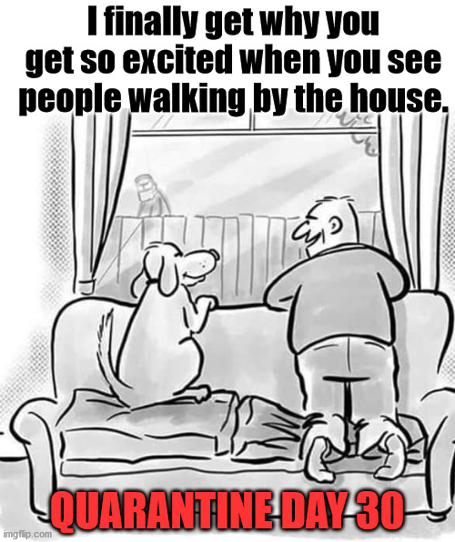 I finally get why you get so excited when you see people walking by the house. QUARANTINE DAY 30 | made w/ Imgflip meme maker