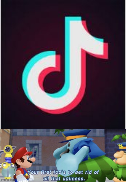 image tagged in tik tok,your first job is to get rid of all that one ugliness,memes | made w/ Imgflip meme maker