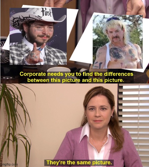 They're The Same Picture | image tagged in memes,they're the same picture,memes | made w/ Imgflip meme maker