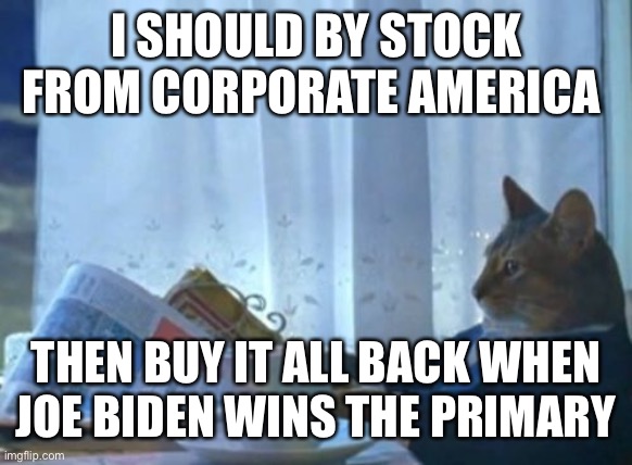 I Should Buy A Boat Cat | I SHOULD BY STOCK FROM CORPORATE AMERICA; THEN BUY IT ALL BACK WHEN JOE BIDEN WINS THE PRIMARY | image tagged in memes,i should buy a boat cat | made w/ Imgflip meme maker