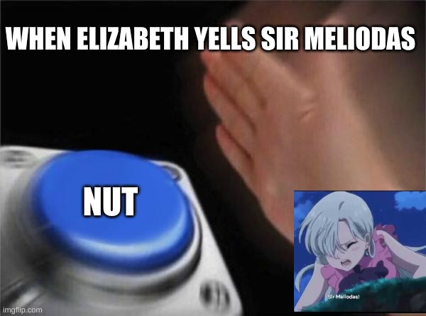 Blank Nut Button Meme | WHEN ELIZABETH YELLS SIR MELIODAS; NUT | image tagged in memes,blank nut button | made w/ Imgflip meme maker