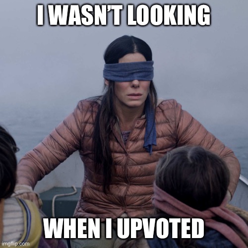 Bird Box Meme | I WASN’T LOOKING WHEN I UPVOTED | image tagged in memes,bird box | made w/ Imgflip meme maker