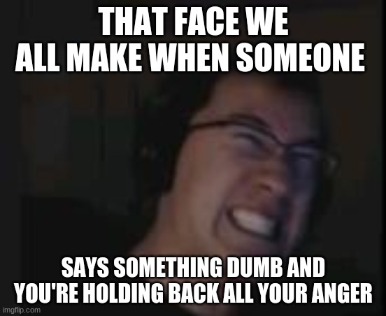 markiplier | THAT FACE WE ALL MAKE WHEN SOMEONE; SAYS SOMETHING DUMB AND YOU'RE HOLDING BACK ALL YOUR ANGER | image tagged in markiplier | made w/ Imgflip meme maker