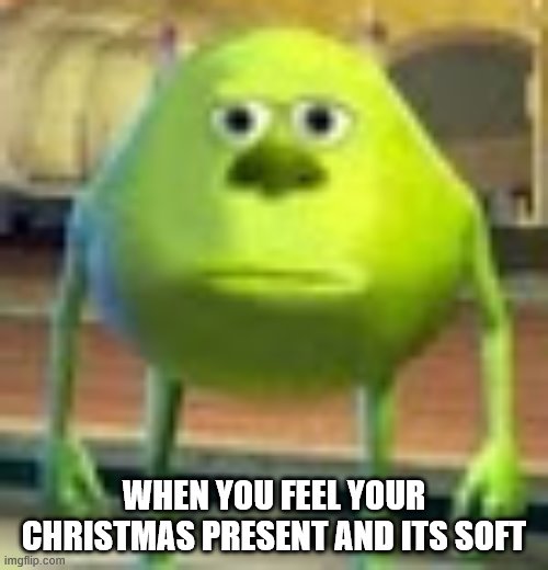 Sully Wazowski | WHEN YOU FEEL YOUR CHRISTMAS PRESENT AND ITS SOFT | image tagged in sully wazowski | made w/ Imgflip meme maker