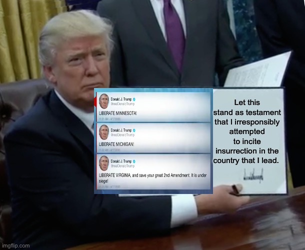 This might be a first, where a leader encourages open insurrection against the locally governing authorities. | Let this stand as testament that I irresponsibly attempted to incite insurrection in the country that I lead. | image tagged in memes,trump bill signing,revolution,insurrection | made w/ Imgflip meme maker