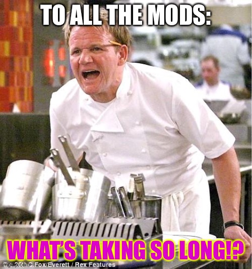 This is mainly a joke, but  seriously.  Some of my memes didn’t get featured for at least a week. | TO ALL THE MODS:; WHAT’S TAKING SO LONG!? | image tagged in memes,chef gordon ramsay,funny,mods,imgflip,imgflip mods | made w/ Imgflip meme maker