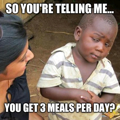 Third World Skeptical Kid Meme | SO YOU'RE TELLING ME... YOU GET 3 MEALS PER DAY? | image tagged in memes,third world skeptical kid | made w/ Imgflip meme maker