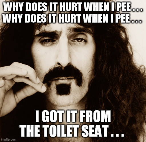 Frank Zappa | WHY DOES IT HURT WHEN I PEE . . .
WHY DOES IT HURT WHEN I PEE . . . I GOT IT FROM THE TOILET SEAT . . . | image tagged in frank zappa | made w/ Imgflip meme maker