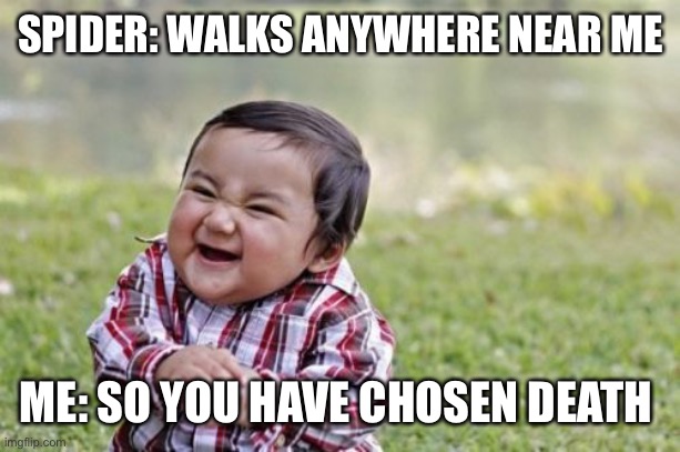 Evil Toddler Meme | SPIDER: WALKS ANYWHERE NEAR ME; ME: SO YOU HAVE CHOSEN DEATH | image tagged in memes,evil toddler | made w/ Imgflip meme maker