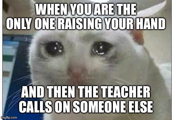 crying cat | WHEN YOU ARE THE ONLY ONE RAISING YOUR HAND; AND THEN THE TEACHER CALLS ON SOMEONE ELSE | image tagged in crying cat | made w/ Imgflip meme maker