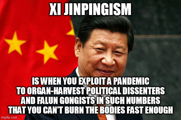 Xi Jinping | XI JINPINGISM IS WHEN YOU EXPLOIT A PANDEMIC TO ORGAN-HARVEST POLITICAL DISSENTERS AND FALUN GONGISTS IN SUCH NUMBERS THAT YOU CAN'T BURN TH | image tagged in xi jinping | made w/ Imgflip meme maker