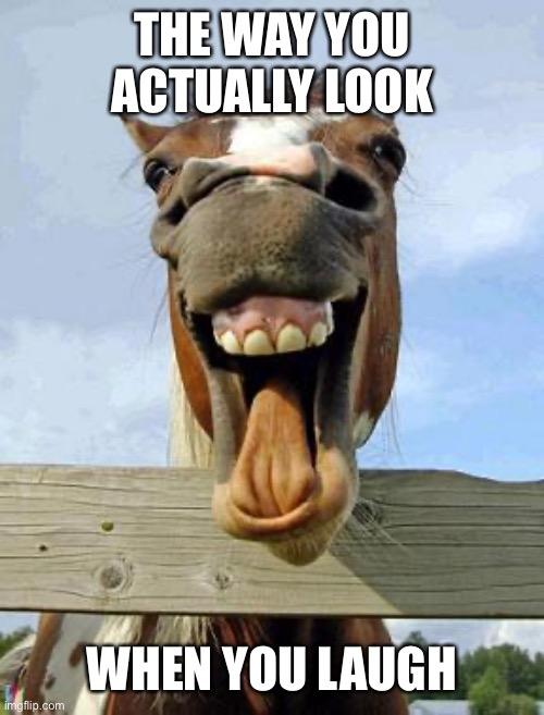 horsesmile | THE WAY YOU ACTUALLY LOOK; WHEN YOU LAUGH | image tagged in horsesmile | made w/ Imgflip meme maker