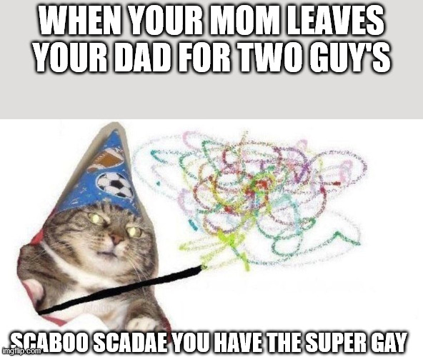 Wizard Cat | WHEN YOUR MOM LEAVES YOUR DAD FOR TWO GUY'S; SCABOO SCADAE YOU HAVE THE SUPER GAY | image tagged in wizard cat | made w/ Imgflip meme maker