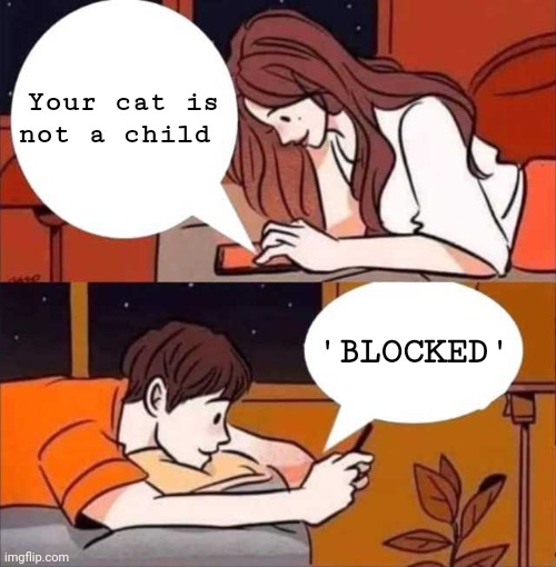 Boy and girl texting | Your cat is not a child; 'BLOCKED' | image tagged in boy and girl texting | made w/ Imgflip meme maker